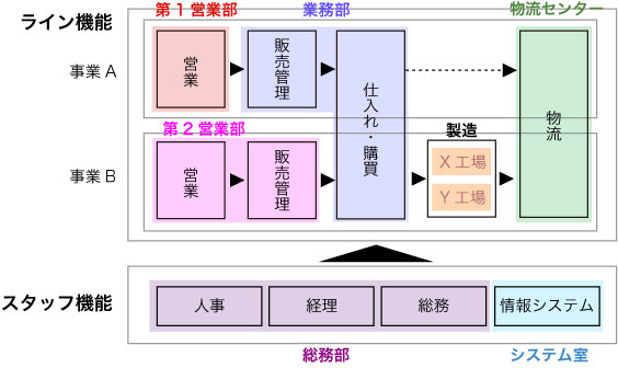 体制図（ライン・スタッフ）